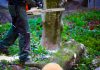 Negri Paolo – Taglio alberi, manutenzioni e costruzione giardini