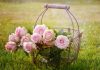 Style Fleure, un giardino creativo per trasformare il fiore in un elemento decorativo