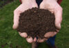 Caìscio Compost – Da oltre trent’anni terricci di alta qualità
