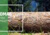 Ecomac SA: la passione per la cura dell’ambiente