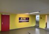 ATN IMPRESA DI GESSATURA E PITTURA: DA PICCOLA ATTIVITÀ ARTIGIANALE AD AZIENDA LEADER NEL SETTORE