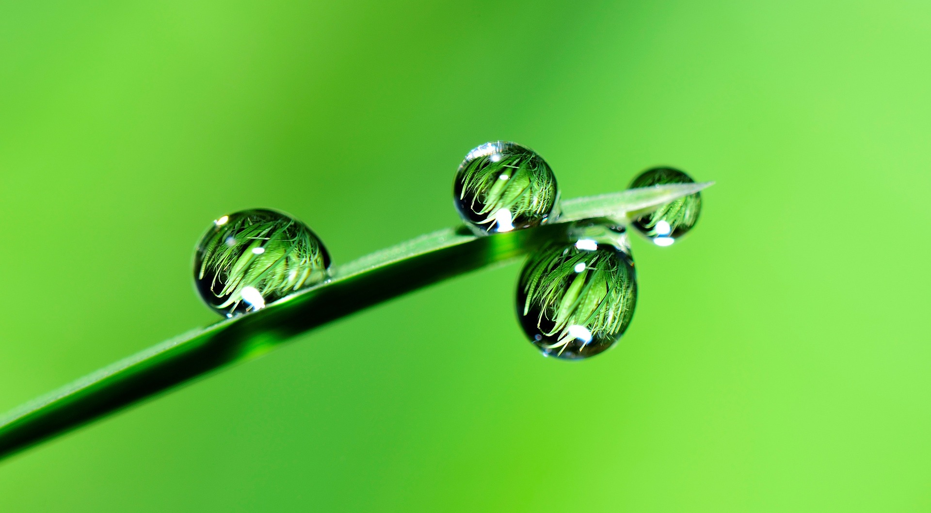 SKYGREEN: LO SPAZIO VERDE BELLO E FUNZIONALE SENZA MANUTENZIONI