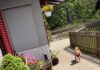 LA PENSIONE DELLA ZIA LU DEL MALCANTONE: LA MIGLIORE CURA E COMPAGNIA PER IL TUO CAGNOLINO!