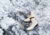 GO ICE DI BIOGGIO: HOCKEY, INLINE SKATER & ARTISTIC